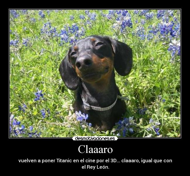 Claaaro - vuelven a poner Titanic en el cine por el 3D... claaaro, igual que con el Rey León.