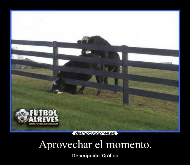 Aprovechar el momento. -