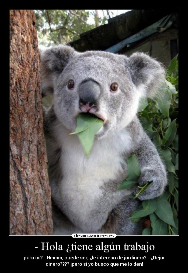 - Hola ¿tiene algún trabajo -