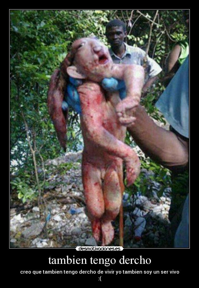 tambien tengo dercho - creo que tambien tengo dercho de vivir yo tambien soy un ser vivo
:(