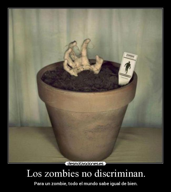 Los zombies no discriminan. - 