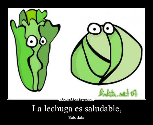 La lechuga es saludable, - Saludala.