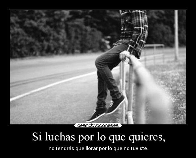 Si luchas por lo que quieres, - 