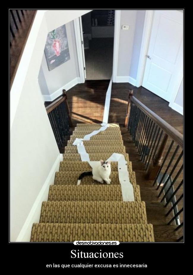 carteles situaciones las que cualquier excusa innecesaria desmotivaciones