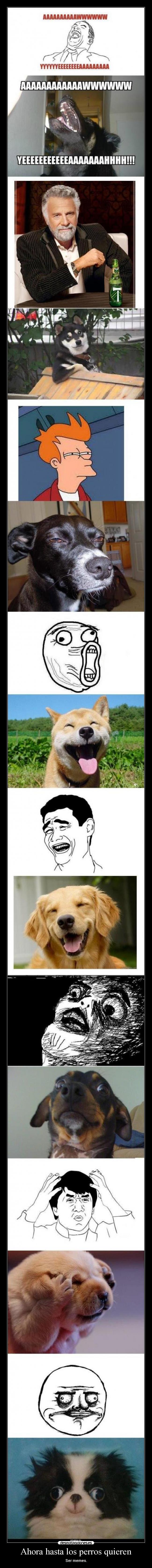 carteles desmotivaciones