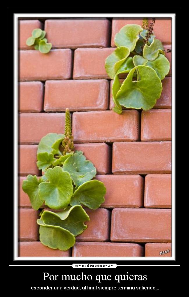 Por mucho que quieras - 