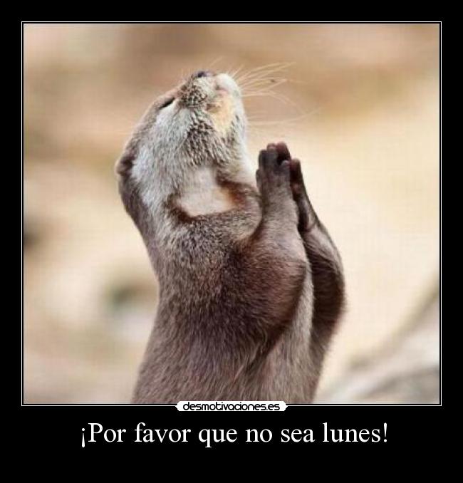 ¡Por favor que no sea lunes! -