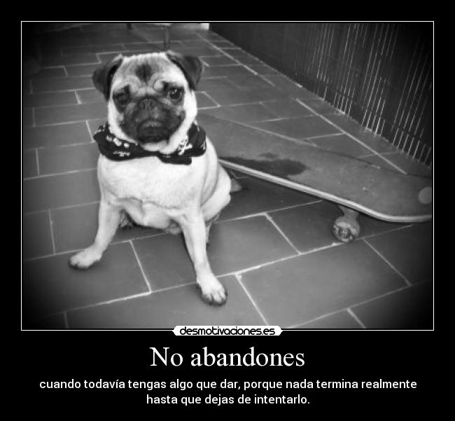 No abandones -
