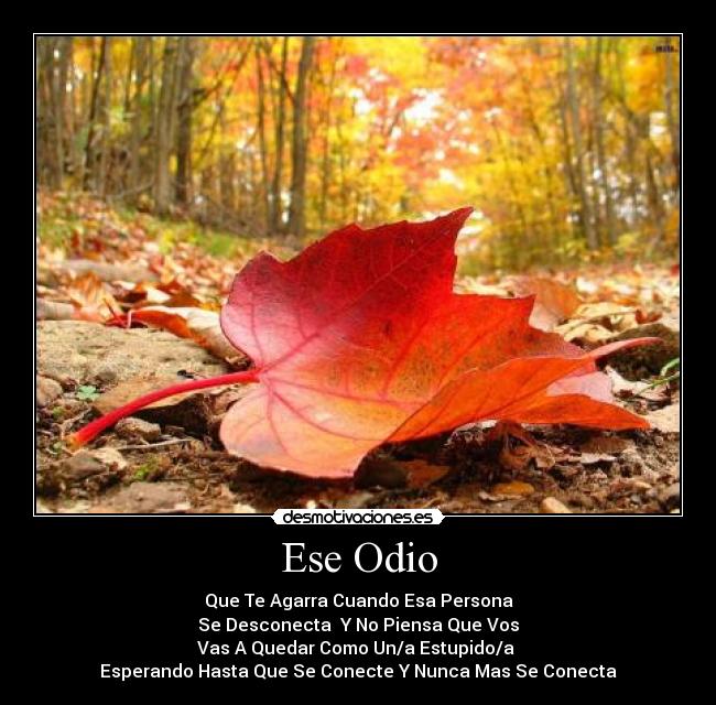 Ese Odio - Que Te Agarra Cuando Esa Persona
Se Desconecta  Y No Piensa Que Vos
Vas A Quedar Como Un/a Estupido/a 
Esperando Hasta Que Se Conecte Y Nunca Mas Se Conecta