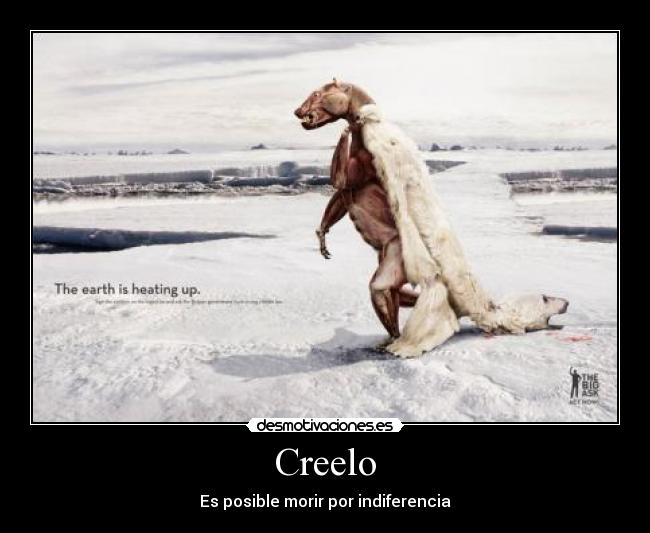 Creelo - Es posible morir por indiferencia