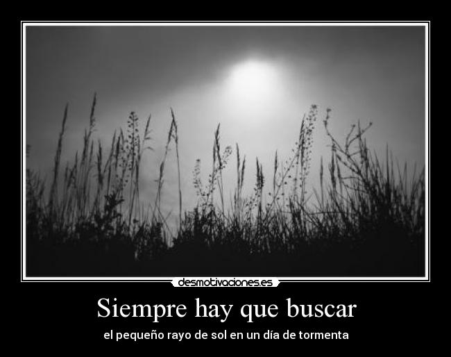 Siempre hay que buscar - 