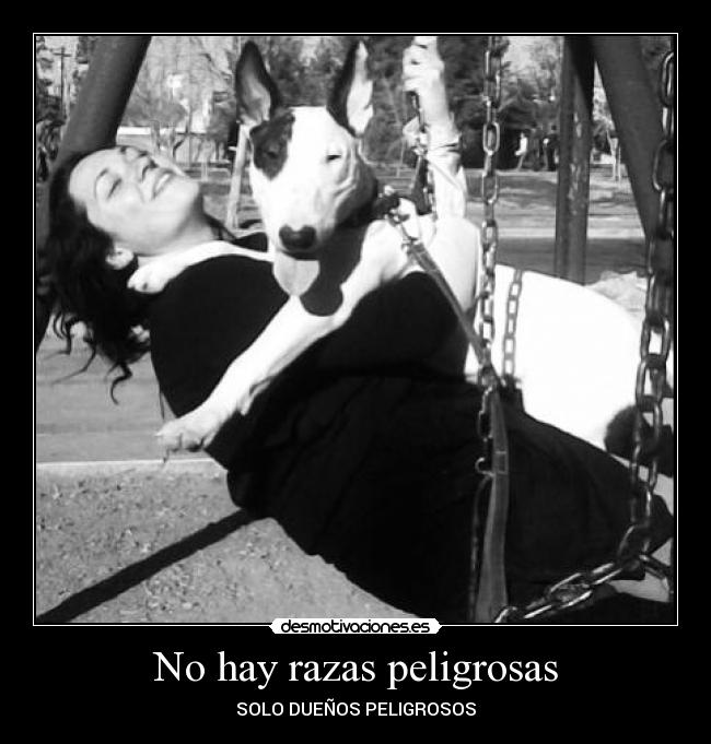 No hay razas peligrosas -