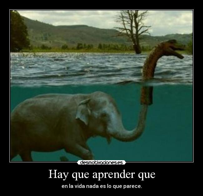 carteles mariatururu desmotivaciones