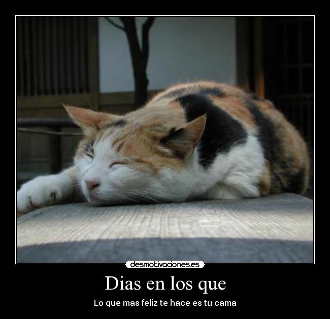 Dias en los que - Lo que mas feliz te hace es tu cama