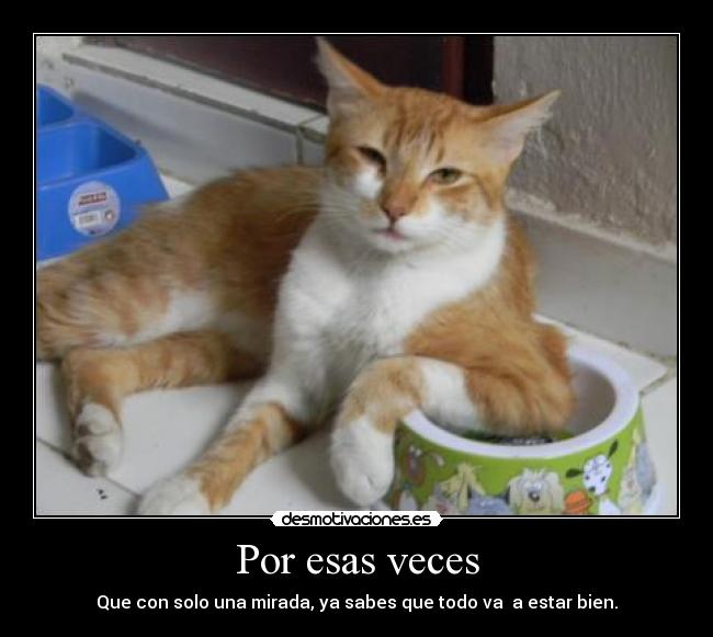 Por esas veces - Que con solo una mirada, ya sabes que todo va  a estar bien.