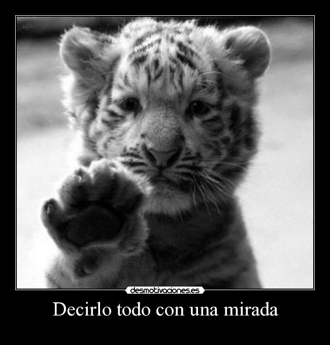 carteles lol desmotivaciones