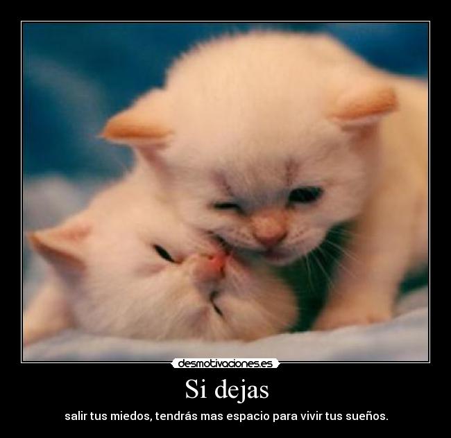 Si dejas - salir tus miedos, tendrás mas espacio para vivir tus sueños.