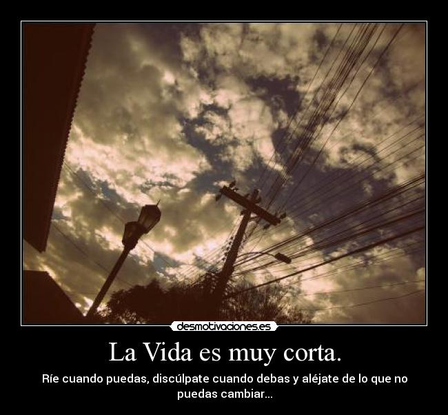 La Vida es muy corta. - Ríe cuando puedas, discúlpate cuando debas y aléjate de lo que no puedas cambiar...