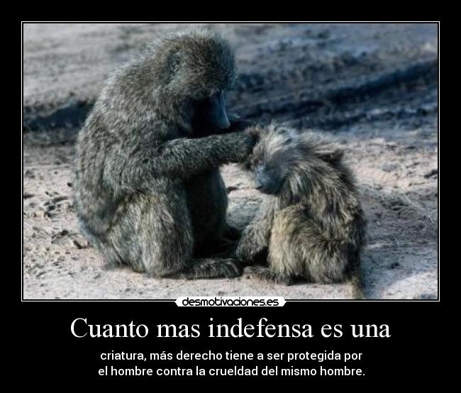 Cuanto mas indefensa es una - criatura, más derecho tiene a ser protegida por
el hombre contra la crueldad del mismo hombre.