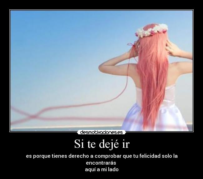 Si te dejé ir - 