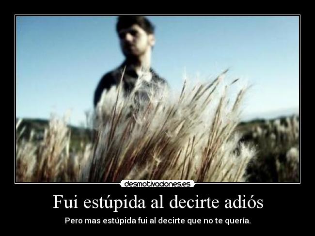 Fui estúpida al decirte adiós - Pero mas estúpida fui al decirte que no te quería.