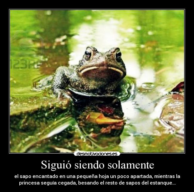 Siguió siendo solamente - el sapo encantado en una pequeña hoja un poco apartada, mientras la
princesa seguÃa cegada, besando el resto de sapos del estanque...