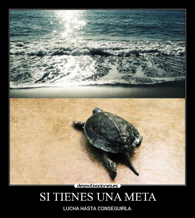 SI TIENES UNA META -