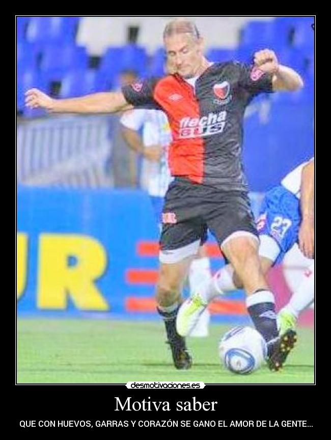 Motiva saber - QUE CON HUEVOS, GARRAS Y CORAZÓN SE GANO EL AMOR DE LA GENTE...