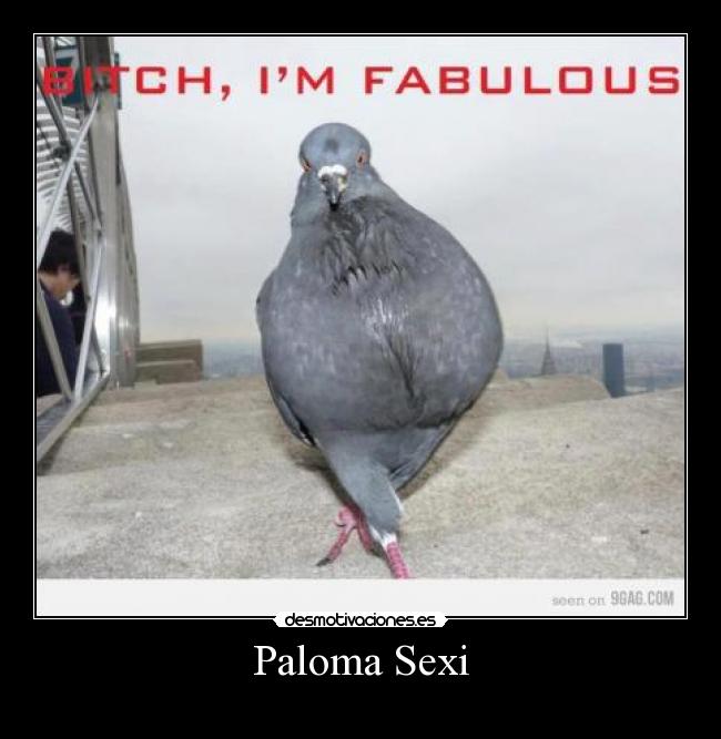 Paloma Sexi -