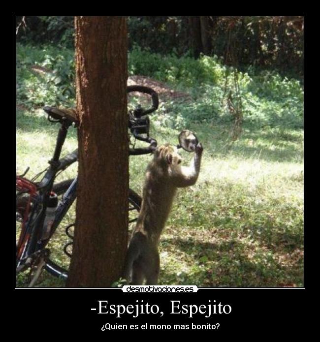 -Espejito, Espejito - ¿Quien es el mono mas bonito?