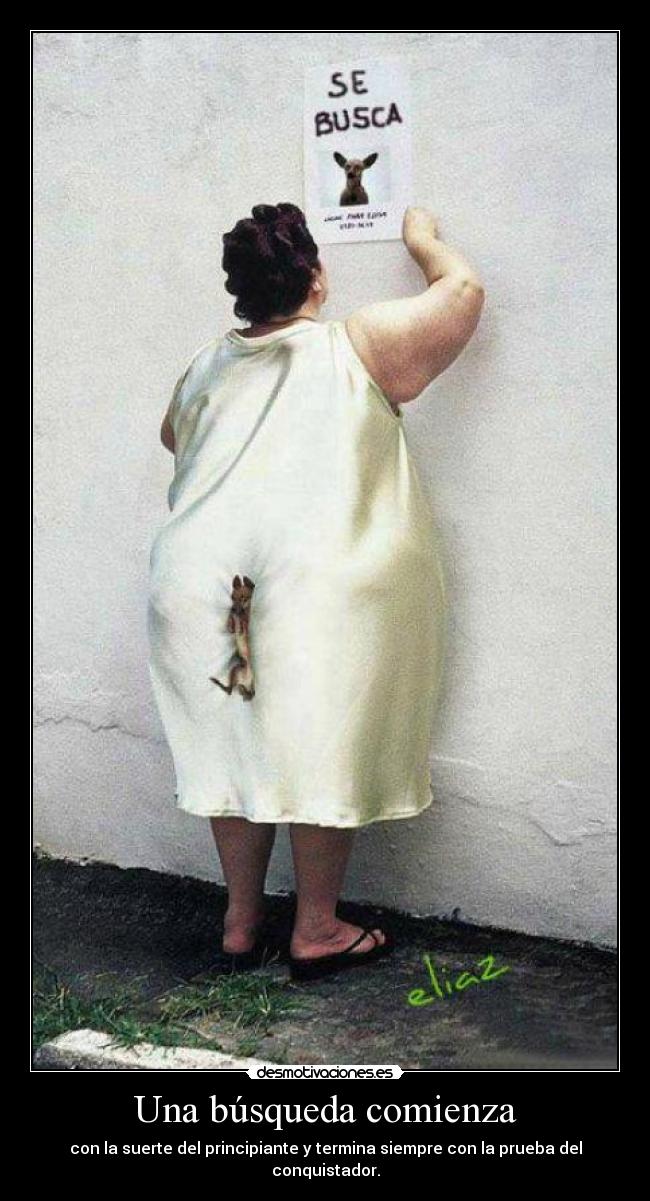 Una búsqueda comienza - 