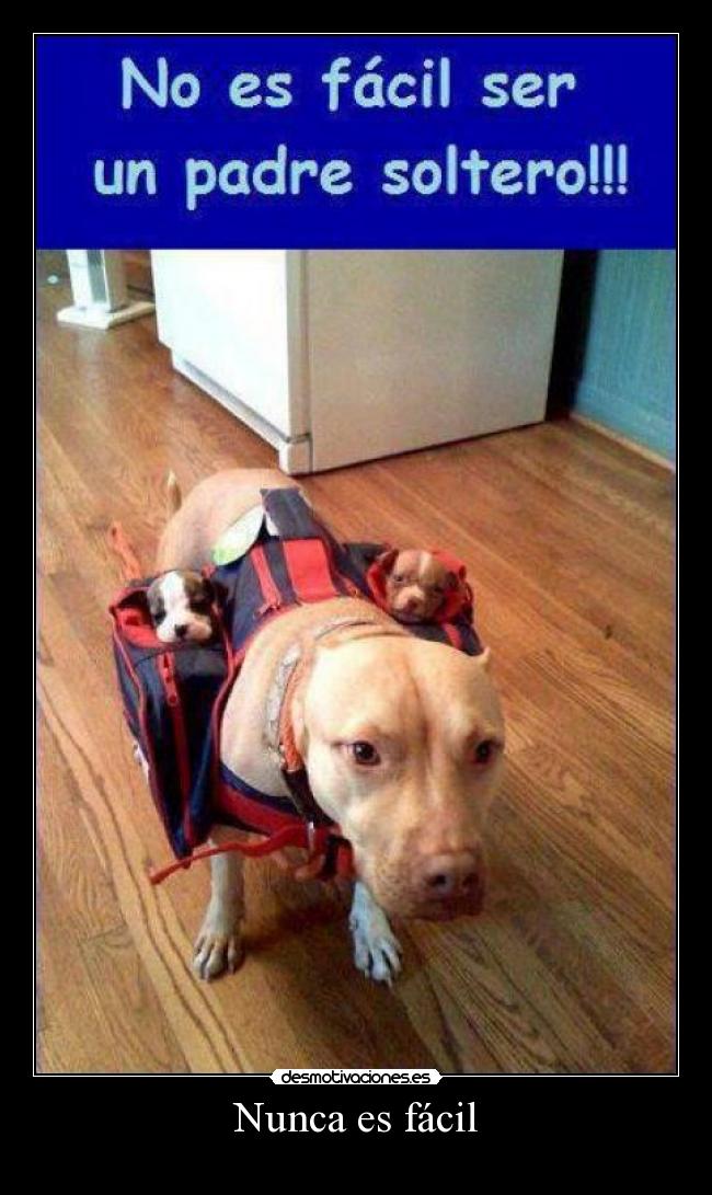 Nunca es fácil -