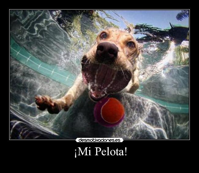 ¡Mi Pelota! -