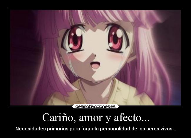 Cariño, amor y afecto... - Necesidades primarias para forjar la personalidad de los seres vivos...