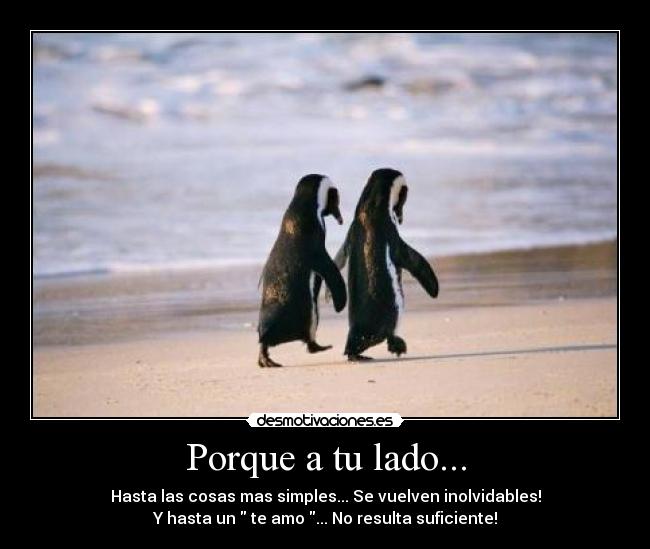 Porque a tu lado... - 