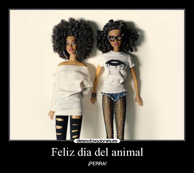 Feliz día del animal - ¡PERRA!