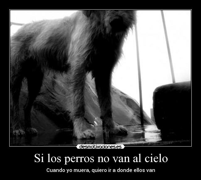 Si los perros no van al cielo -