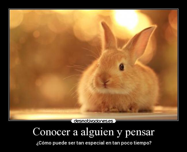 Conocer a alguien y pensar - ¿Cómo puede ser tan especial en tan poco tiempo?