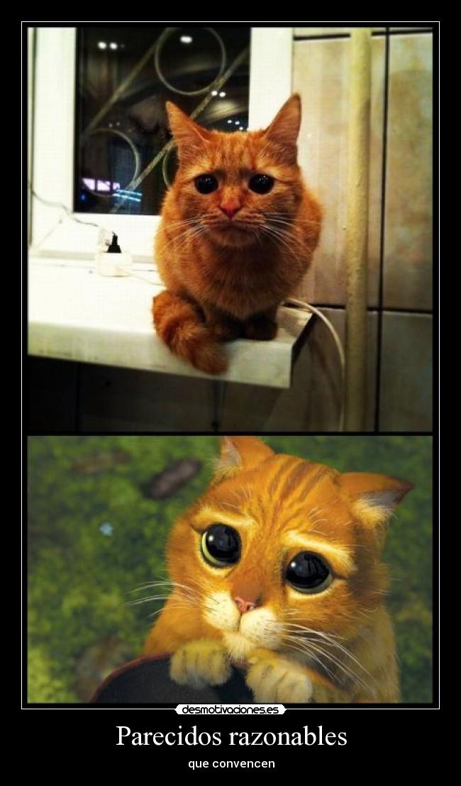 Parecidos razonables -