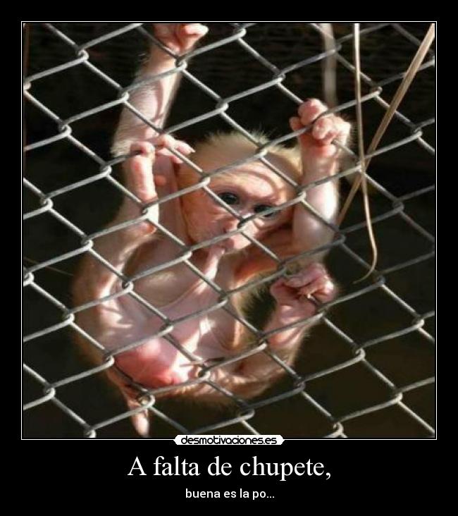 A falta de chupete, - 