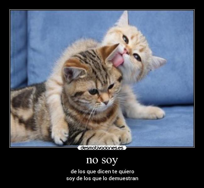 no soy -