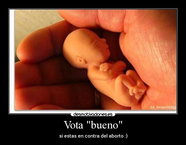 Vota bueno - 