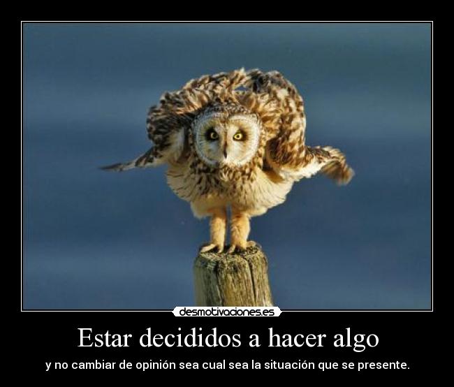 Estar decididos a hacer algo - y no cambiar de opinión sea cual sea la situación que se presente.