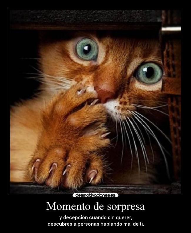 Momento de sorpresa -