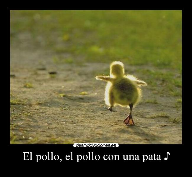 El pollo, el pollo con una pata ♪ - 