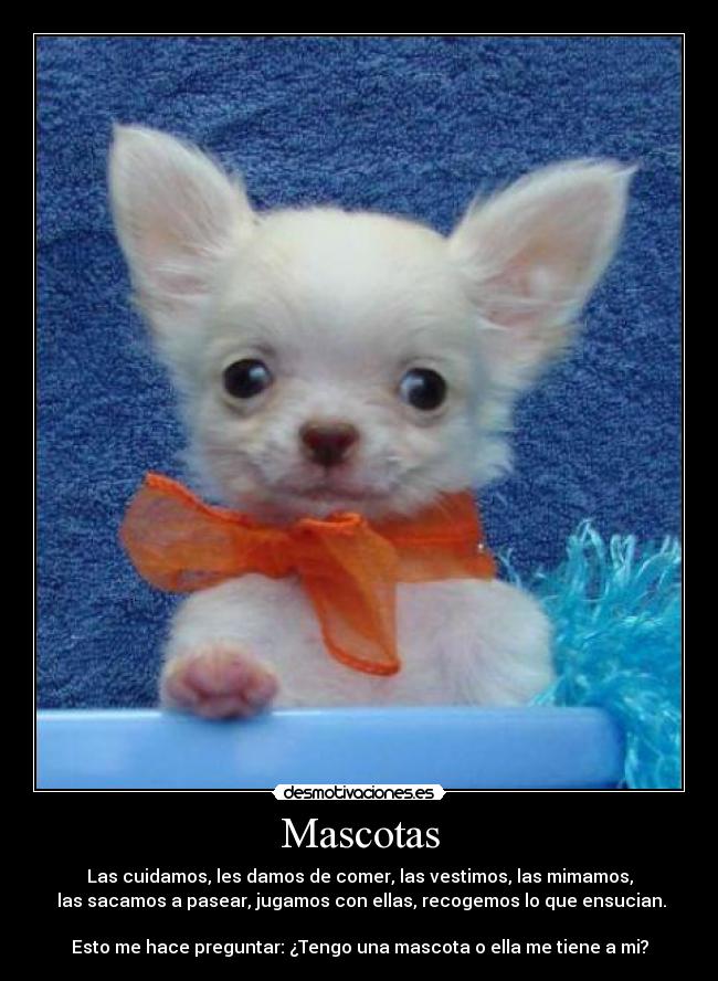 Mascotas -