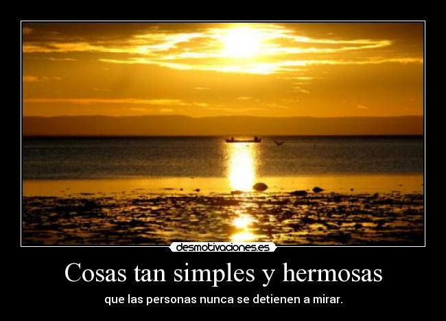 Cosas tan simples y hermosas - que las personas nunca se detienen a mirar.