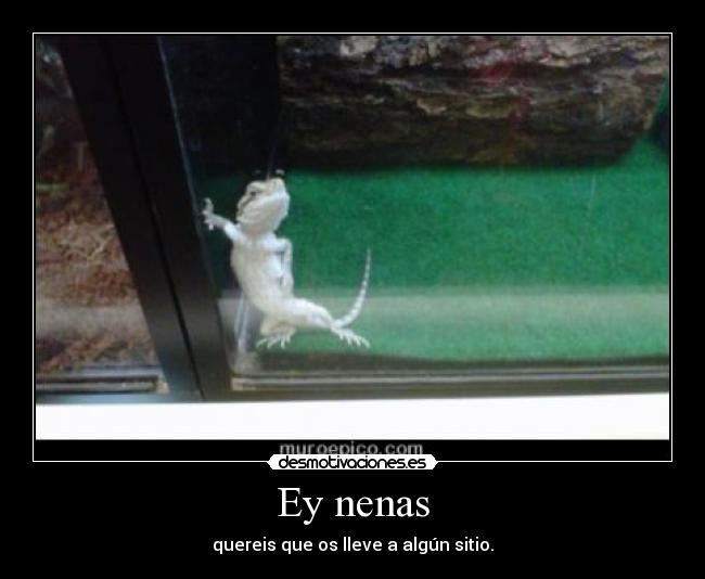 Ey nenas - quereis que os lleve a algún sitio.