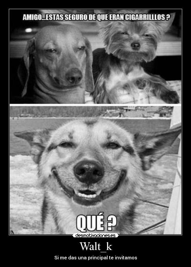 Walt_k - Si me das una principal te invitamos