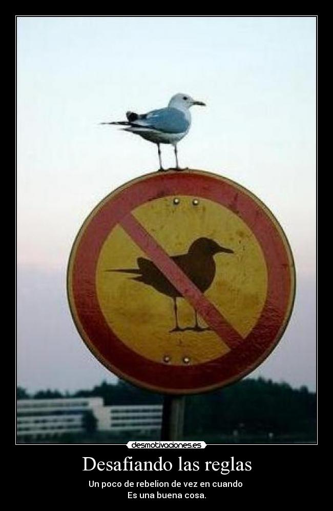 Desafiando las reglas -
